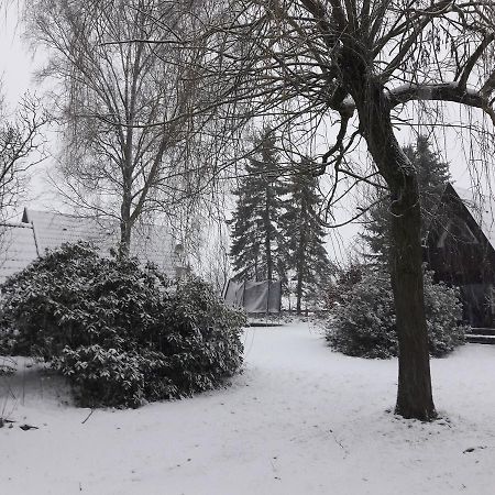 Eitzmanns Ferienhauser Dushorn Экстерьер фото